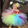 Robes de fille arc-en-ciel bébé filles fantaisie Tutu robe fleur de vacances moelleux avec bandeau 1er anniversaire Po Costume TS092Girl's