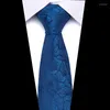 Laço amarra o pescoço sólido para homens trajes xadrez de gravata azul decote de teatro