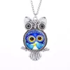 Antique Silver Birds Owl Glass Cabochon Necklace Shape dome Pendant Necklaces for Women Children Fashion jewelry Gift will and sandy