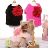 Ubrania psów zimowe kurtka luksusowy pies płaszcz kota garnitur dla psów i kotów kamizelki puppy pinkblack 201102