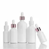 Bottiglie contagocce in vetro da 10 ml 15 ml 30 ml 50 ml 100 ml con pipette Bottiglie di olio essenziale bianco Tappo dorato per aromaterapia