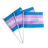 Flag Rainbow Pride Flag маленький мини -удержанный баннер