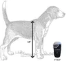 Köpek Oyuncakları Bones El Çantası Benzersiz Cızırtılı Parodi Peluş Köpekler Oyuncak Tasarımları Paha biçilemez Kapsül Hediye Moda Hound Koleksiyonu Bardaklar ve Kutunun Dışında Düşünen Parfüm H16