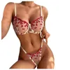Bands Red Heart Bra 2022 Donne Sexy Crochless Lingerie Set Reggicalze Hot See Through Erotic L220727