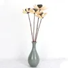 装飾的な花の花瓶のフィルター天然ロータスポッド乾燥ブルウォンポッド装飾フラワーホームギフト