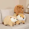 CM Mooie Levense Lifelike Otter Plush Toys Gevulde realistische wilde dierenpoppen Zacht Lazy Cushion Room Decor Kerstcadeau J220704