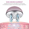 EMS Micro-corrente Face-lifting Instrument Lift Face Roller Ball Carica massaggiatore elettrico per rilassare la pelle