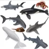 Solid Simulerad Marine Animal Model Shark Dekorativa Objekt Giant Toothed Carnivore Mänskliga Sharks Whale Great White Shark Toy Ornament