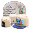 2019 Yeni Beyzbol Kapakları Yetişkin Mektuplar Erkekler Spor Hip Hop Şapkası Kemik Snapback Hats Casquette Cayler Sons Hawai Floral2374