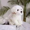 Bichon presh puppy محشو تيدي الكلب احتضان لطيف محاكاة الحيوانات الأليفة رقيقة دمى الطفل هدايا عيد ميلاد للأطفال dropshipping j220704