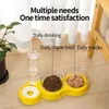 automatic cat food dispensers