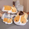 Bellissimo grasso Shiba Inu e Corgi cane peluche ripiene morbido Kawaii animale cartone animato cuscino coccolone bambole regalo per bambini J220704