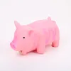 1Pc Cute Rubber Sound Pig Grunting Squeak Latex Pet Chew Toys for Dog Squeaker Chew Training Puppy Supplies Pet Products