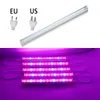 110V 220V Spettro completo Led Coltiva la luce T5 Tubo Spina UE USA LED Phyto Lampade Lampada Bar Crescita idroponica delle piante