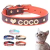 Dog Collars & Leashes Personalized Small Cat Collar DIY Rhinestone Bling Charm Pet Custom Dogs Name For Medium Accessories293k
