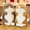 Kawaii simulation animal chat jouet en peluche gros cartoon doux chaton poupée confort oreiller de sommeil pour garçons girls cadeaux décoration de chambre 50cm la469