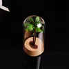 20 X Dia12cm Clear Glass Display Dome Cover Cloche Bell Jar Succulent Terrariums with Wood Cork for Office Table Decor DIY