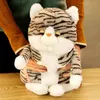 Kawaii simulation animal chat jouet en peluche gros cartoon doux chaton poupée confort oreiller de sommeil pour garçons girls cadeaux décoration de chambre 50cm la469