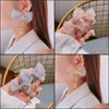 Charmörhängen smycken koreanska mode örontillbehör Sier Needle Chiffon Bow Spring and Summer Temperament Crystal Tassel DHWPA