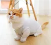 Cat Professional Recovery Suit for Abdominal Wounds or Skin Diseases E-Collar Alternative for Cats and Dogs After Surgery Wear Pajama Suits