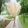 Party Decoration 5st 10070cm Artificial Pampas Grass Bouquet Year Holiday Wedding Home Plant Simulation Dried Flower Reed 220919