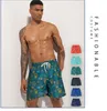 Стиль моды Men Summer Swim Beach Shorts Новые лето случайные шорты мужские брюки