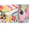 Commercial DIY machines Ice Cream Popsicle Mould Ice Pop Moulds Lolly Mold Durable Stainless Steel 40 Pieces Stick Holder