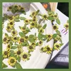 Guirnaldas de flores decorativas Mini girasol prensado y secado para resina Flor natural Fabricación de joyas Jabón y vela 12 piezas / 24 piezas Decorativas