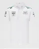 F1 Formula 1 racing shirt summer team short-sleeved T-shirt with the same custom2883