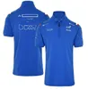 Camisetas masculinas F1 Fórmula 1 Team Polo Camisa nova lapela com o mesmo personalizado F4wi Svz3