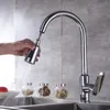 Küchenarmaturen Waschbecken Wasserhahn Pullerzubehör hornförmiger Knopfschalter Multifunktions Duschdüse DCK-1200CP