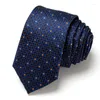 Laço amarra o pescoço sólido para homens trajes xadrez de gravata azul decote de teatro