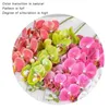 Dekorative Blumenkränze, 8 Farben, Latex, 9 Köpfe, 3D-gedruckter Schmetterling, Orchidee, Heimdekoration, Hochzeitsdekoration, künstliche Blume, C0803X0