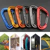 D Shape Stainless Steel Carabiner Spring Hook Carabiner Multitool Mountaineering Buckle Lock Camping Hook Rope Swing Tent