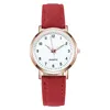 Luxury Watche Watcheninous Retro Watch's Watch Ladies Pas Pas Back Light Kwarcowe zegarek Montre Femme 32,5 mm Color 2