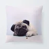 Yastık/Dekoratif Yastık Pug Köpek Yastıkları Beyaz ve Siyah Kılıf Hayvan Rustik Sette Lomber Destek Atma Kapağı 17.7inch Kadife Ünlü Marka