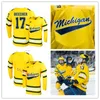 NIK1 XFLSP Custom Michigan 울버린 스티치 하키 유니폼 Quinn Hughes Tyler Tyler Motte Dylan Larkin Martin Werenski Hyman Jose Cecconi Jake Slaker Luke