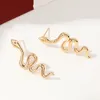 S2882 Mode-sieraden Retro Metalen Slang Oorknopjes Voor Vrouwen Gouden Slangen Oorbellen