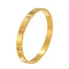 Designer Jewelry Love Bracciali per donna uomo fashion bangle fibbia Semplicità del chiodo con diamante in acciaio inossidabile Nessun cacciavite argento oro rosa