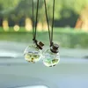 10Ml car hang on Small Empty Perfume Bottles wood cap with flowers