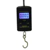 40kg x 10g Mini Digital Scales for Fishing Luggage Travel Weighting Steelyard Hanging Electronic Hook Scale Kitchen Weight Tool