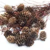 3CM Natural Pine Nuts Fruit Artificial For Party Wedding Christmas Decoration Garden Accessories Fake Fruit Vegetable