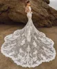 Date robe De mariée sirène dentelle profonde col en v décolleté manches longues chapelle Train grande taille robe De mariée 2022 Vestidos De Novia