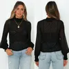 Vrouwen Sexy Sheer Mesh Blouse Shirt Lady Lange Mouw Doorzichtige TurtleWork Tops Shirts Clubwear Dames Blouses