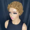 Perruque brésilienne Remy, coupe Pixie, cheveux Afro courts, crépus bouclés, 100% cheveux humains, entièrement fabriqués en Mahine, pour femmes