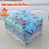 Cleaning cloths MAGIC CLEANING CLOTH EXTRA THICK DOUBLE LAYER CORAL VELVET CLEAN TOWEL DISH