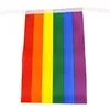 14*21CM 5m cadena Arco Iris bandera lesbiana Gay orgullo LGBT banderas arcoíris Banners decoraciones de fiesta boda centros de mesa decoración del hogar