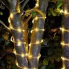 Saiten 5m 5led Lichterketten Draht Led-String Mit Fernbedienung Für Girlande Weihnachtsbaum Hochzeit Zimmer Decora AtmosphäreLED StringsLED