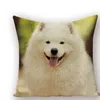 쿠션/장식 베개 Doberman 장식 쿠션 커버 Samoyed Cushions 커버 소파 동물 개 던지