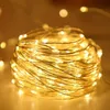 Dizeler LED 2M bakır tel ip hafif sıcak tatil aydınlatma peri çelenk Noel ağacı için düğün partisi dekorasyon lamba